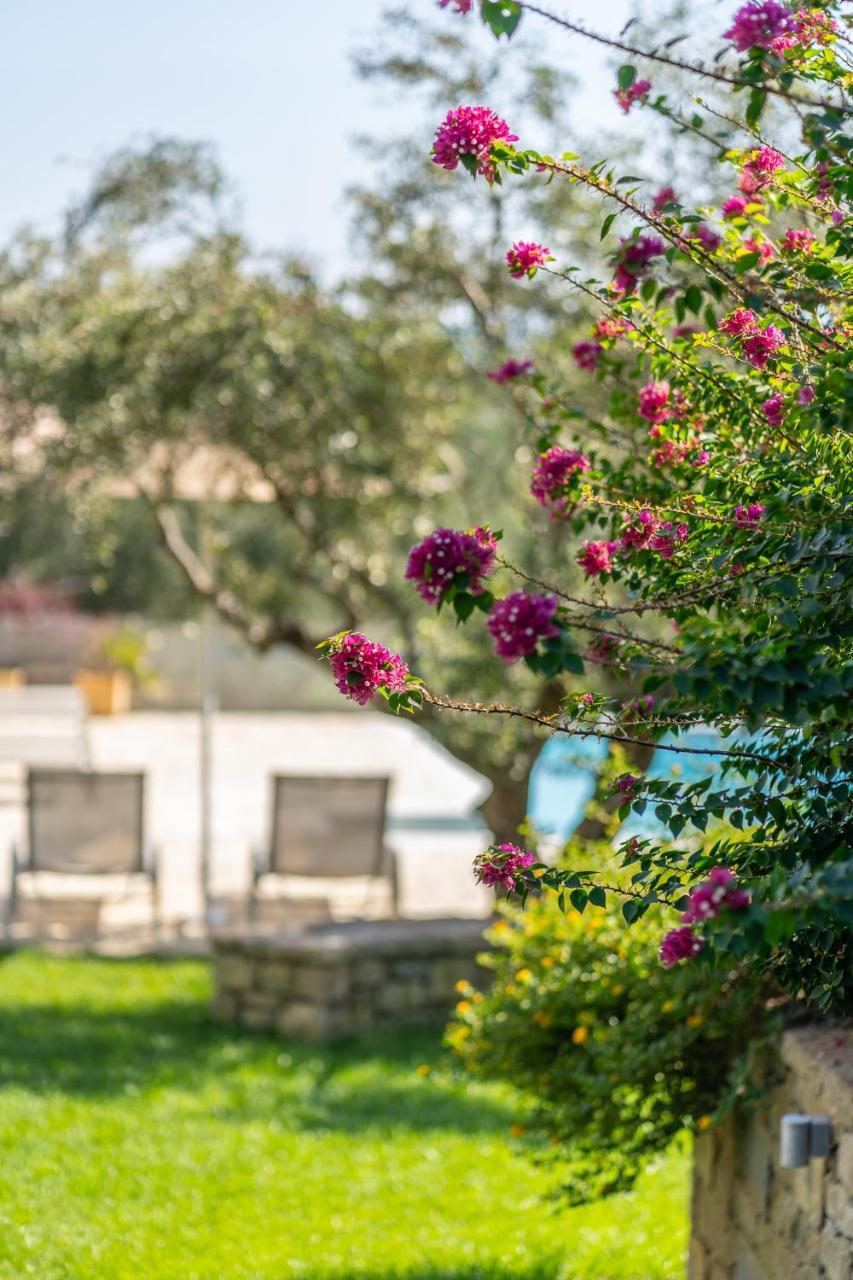 Abelia Luxurious Villas Finikounta Luaran gambar